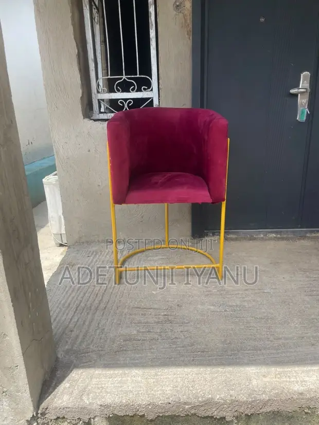 Salon Chair - Used for 3 Months - 1
