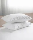Original Full Fiber Pillows - 2