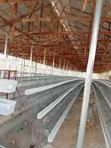 Sabon Battery Cage - 96, 120, 160 Capacity - 1
