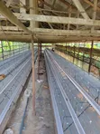 Sabon Battery Cage - 96, 120, 160 Capacity - 2