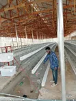 Sabon Battery Cage - 96, 120, 160 Capacity - 3