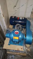 1 Inch Vane Pump da 1HP Flame Proof Motor - 2