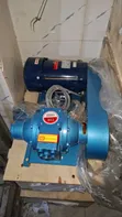 1 Inch Vane Pump da 1HP Flame Proof Motor - 3