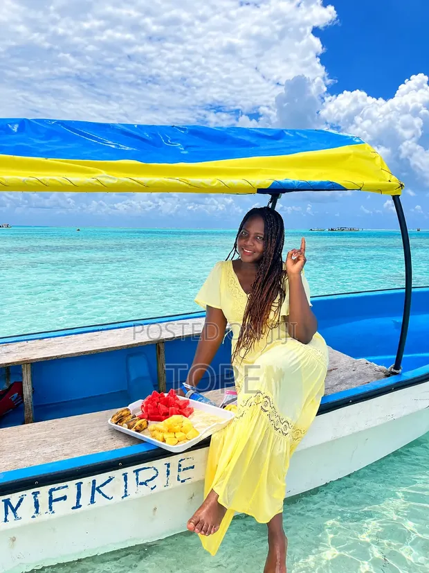 Tanzania E-Visa and Mandatory Travel Insurance - 1