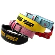 Fear Power Weightlifting Belt - Brand New - 2
