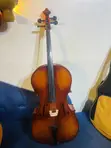 Siyarwar Cello 4/4 Mai Girma - 4
