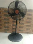Ox 18 Fan Mai Tsayuwa - 2