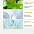 Dr. Althea Vitamin C Boosting Serum 63% - 5
