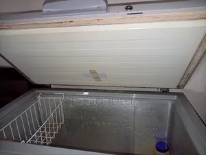 Hisense 250 Litres Deep Freezer