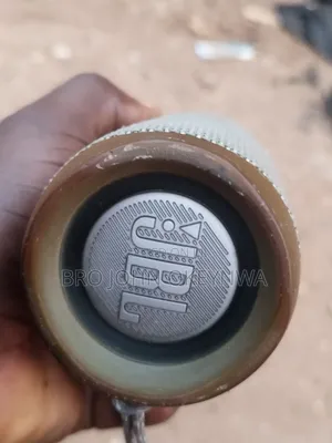 Original JBL Flip 5 Speaker