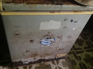 Tsohuwar Firijin Thermocool - Kasa Freezer