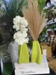 Deco Brand Multicolor Decorative Accessories - Brand New - 2