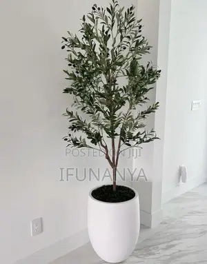 Decorative Pot Flower