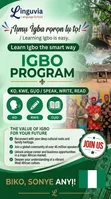 Native African Language Mastery Program - 2