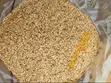 Tsaba na Waken Jira da Waken Soya Manyan Kayayyaki - 2