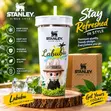 Stanley Flask (Sabon Zama) - 2