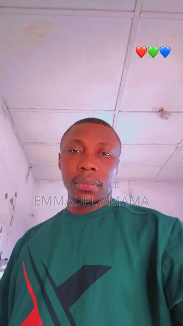 Emmanuel's CV - Manufacturing Professional - 1