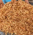 Authentic Oron Crayfish - Big & Sweet - 3