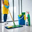 Professional Home and Office Cleaning Services - 2