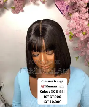 Closure Fringe Human Hair Wig