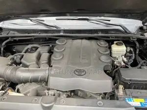 Toyota 4-Runner 2010 Baki