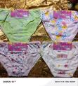 Ladies Essentials - Lingerie & Underwear - 3