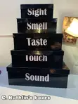 Gift Boxes - Branded & Unbranded - 3