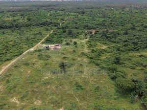 50 Plots for Bulk Purchase in Elerangbe, Ibeju-Lekki