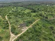 50 Plots for Bulk Purchase in Elerangbe, Ibeju-Lekki - 3