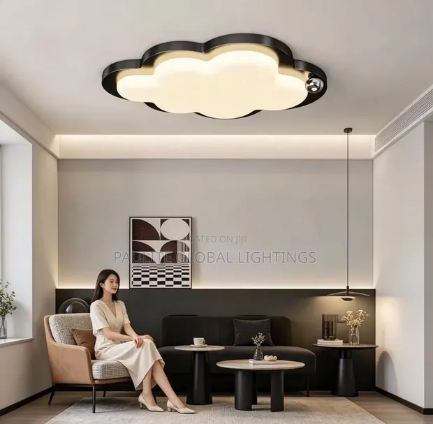 New Designed Flush Light - 1