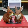 Resin Rabbit/Bunny Figurines - Sabon Sammati - 1