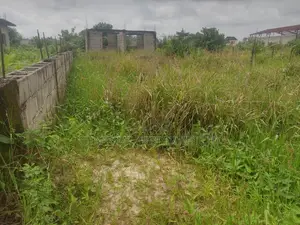 Half Plot with Uncompleted 2-Bedroom Building, Ijedodo-Ijegun