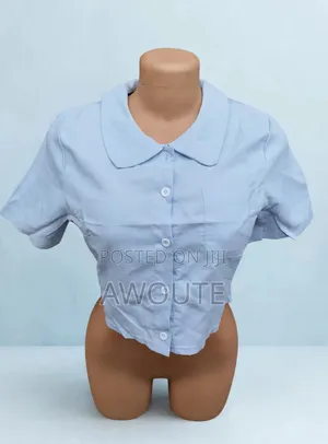 AKT Clothing Blue Band Collar Riga (XL)