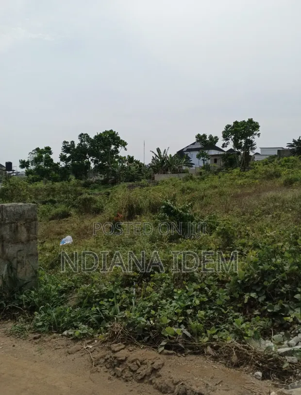 Filin 100x100ft Don Sawa, Summit Hill Estate, Calabar - 1