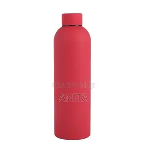 Insulated Stainless Steel Water Bottle - 500ml