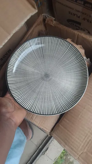 10.5" Ceramic Flat Plates (Set of 6)