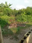 Dry Land for Sale in Oregun, Epe LGA, Lagos State - 1