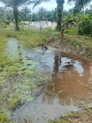 Godo Farms Farmland for Sale in Badagry