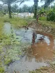 Godo Farms Farmland for Sale in Badagry - 1