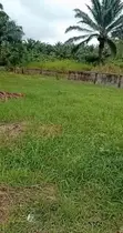 Godo Farms Farmland for Sale in Badagry - 2