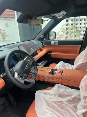 New BYD Leopard 7 2025 Gray