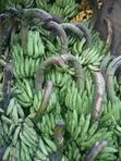 Fresh Bananas - Organic - 2