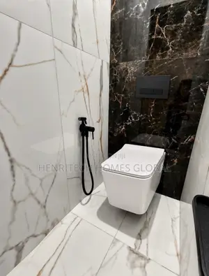 Wall Hung Concealed Water Closet - White