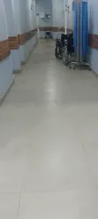 Sabis na Tsabta da Fumigation ta PROAT - 2