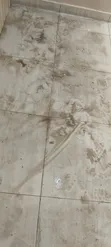 Sabis na Tsabta da Fumigation ta PROAT - 5