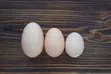 Afolabi Poultry Farm - Jumbo Size Feed - 2