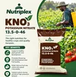 Nutriplex Potassium Nitrate 25kg Fertilizer - 3