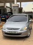 Peugeot 307 2005 Silver - 1