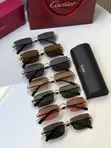 Cartier Sunglasses - Brand New - 1