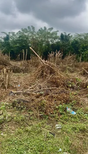 557sqm Residential Land for Sale, Moniya